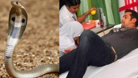 نجم بوليوود سلمان خان ينجو من لدغة ثعبان يوم عيد الميلاد