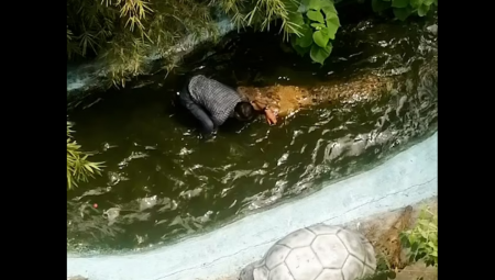 تمساح ينقض على سائح اعتقد أن الوحش مصنوع من البلاستيك
