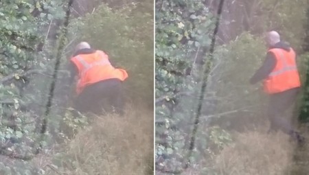 بريطانيا.. سائق القطار يقفز من الكابينة لإزالة الشجر من المسارات