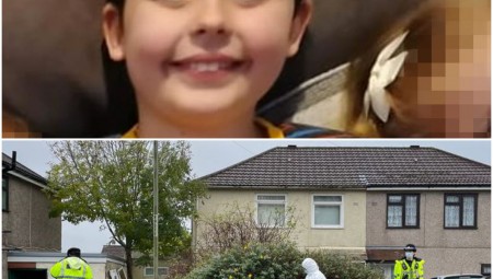 بريطانيا.. وفاة طفل بعد أن هاجمه كلب.. والشرطة تطلق النار عليه