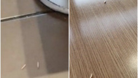 بريطانيا.. ديدان حية تسقط على طاولة سيدة في ماكدونالدز.. والمطعم يعتذر