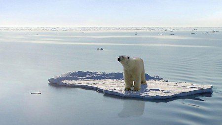 عالم أحياء: الوباء العالمي المقبل قد يكون مختبئا في الجليد الذائب
