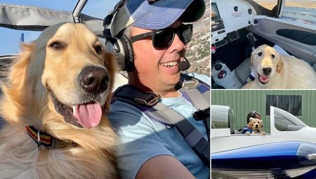 ديلي ميل : كلبان يعشقان الطيران