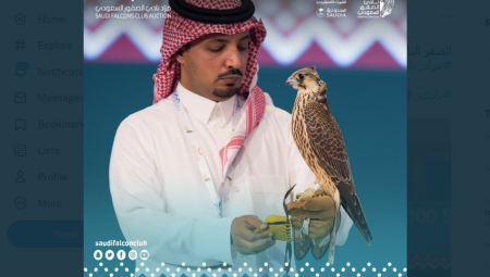 السعودية .. 3 صقور ب70 ألف دولار