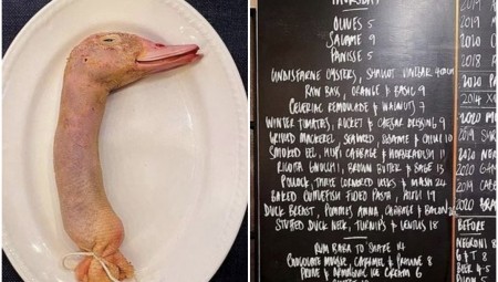 بريطانيا.. طبق رقبة البطة المحشيةيثير الجدل.. والنقاد في حالة صدمة