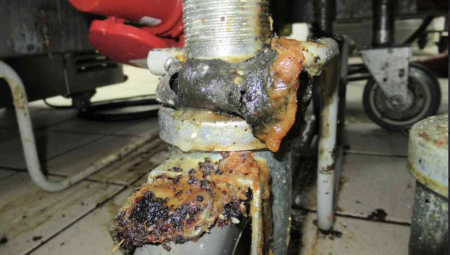 بالصور: غرامة بنصف مليون لفرع ماكدونالدز شرق لندن بعد أن عثر زبون على فضلات فئران في البرغر