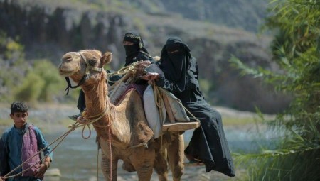 قصة استثنائية: يمنية تستعين بجمل للوصول إلى المستشفى وهي في حالة المخاض لتصل بعد 7 ساعات