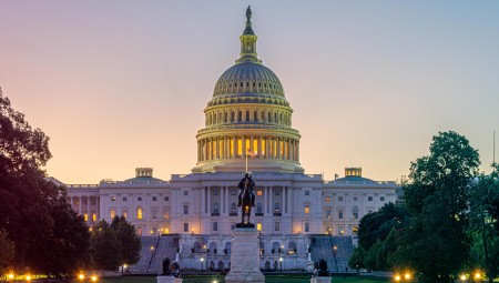 الإمساك بثعلب أثار الذعر قرب مقر الكونغرس الأميركي