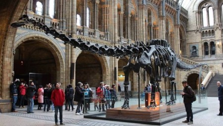 متحف لندن يوضب حقائبه للانتقال إلى موقع جديد يستوعب عددا أكبر من الزوار