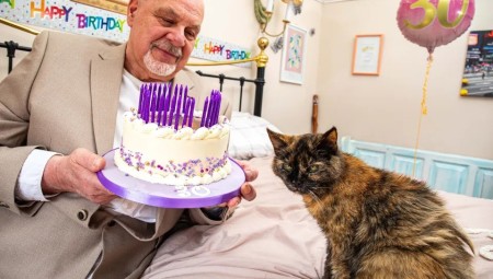 قطة بريطانية حطمت الأرقام القياسية ببلوغ سن الثلاثين