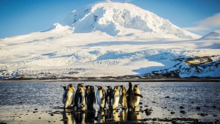 ترامب يفاجئ العالم بفرض رسوم جمركية على جزر البطاريق وغير ذلك من القرارات الغريبة