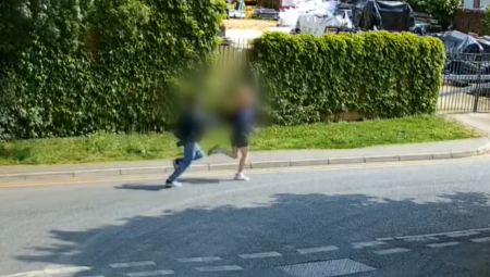 قضية وحشية في لندن: مراهقان يحاكمان بتهمة تعذيب وقتل قطتين صغيرتين