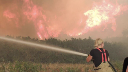 حريق هائل في دورست هيث يلتهم 69 هكتارًا ويجبر السكان على الإخلاء