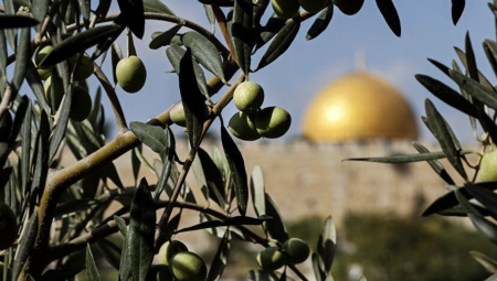 أمسية فنية في لندن تحتفي بالمرأة الفلسطينية وتعزّز التضامن الإنساني