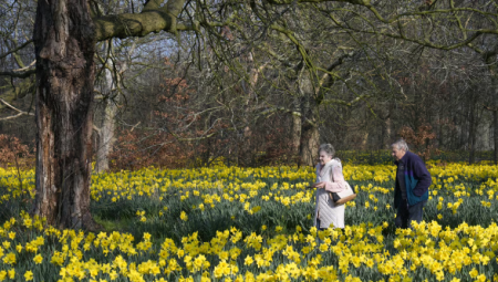 بريطانيا تسجل أعلى حرارة هذا العام وغبار الصحراء الكبرى يلوّن السماء