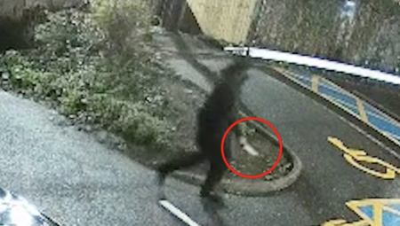 عاجل / اعتقال رجل متهم بتنفيذ هجومين بسكين في لندن وكمبريدجشاير